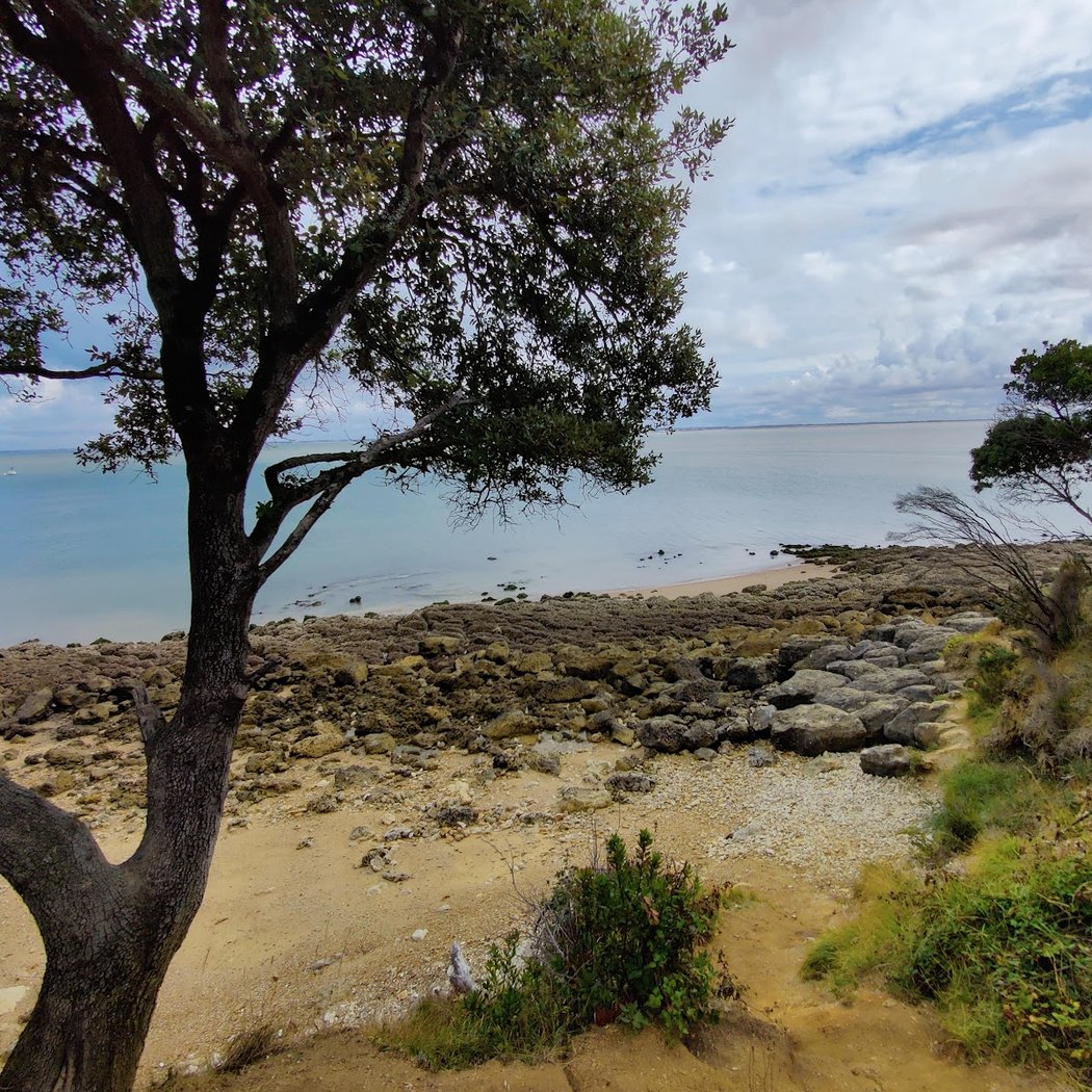 Plage aux Coquillages 3